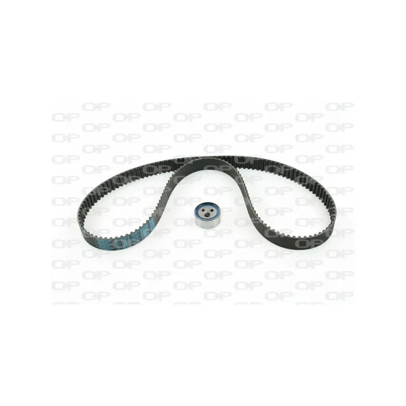 Kit de distribution OPEN PARTS TBK5038.01