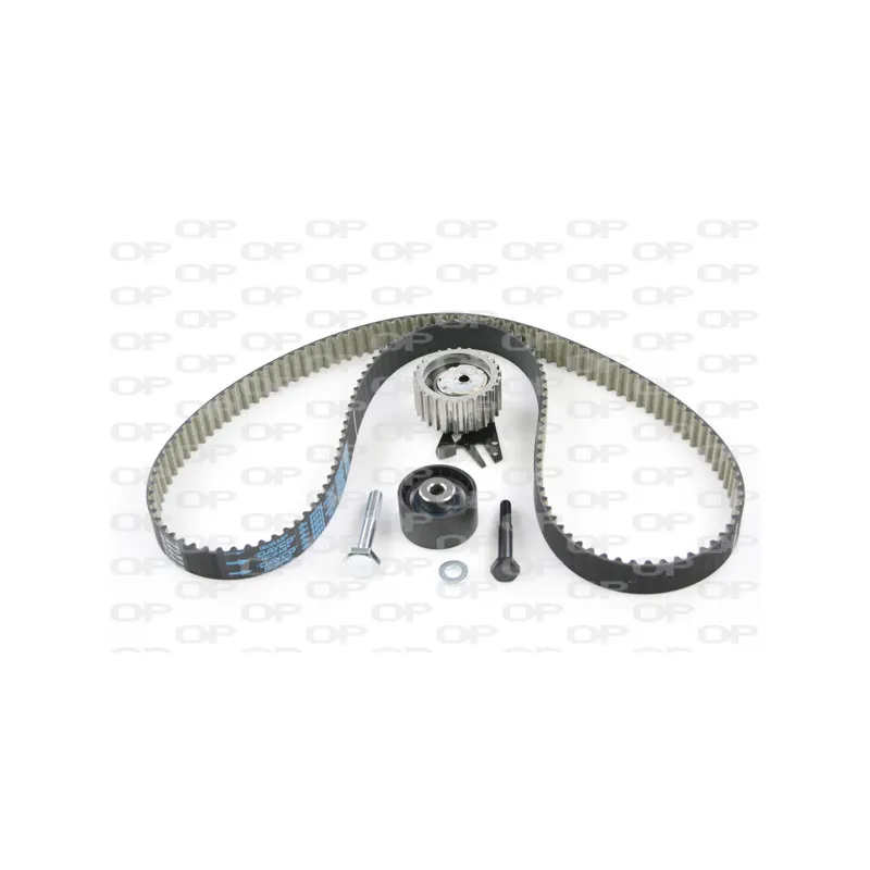 Kit de distribution OPEN PARTS TBK5039.11
