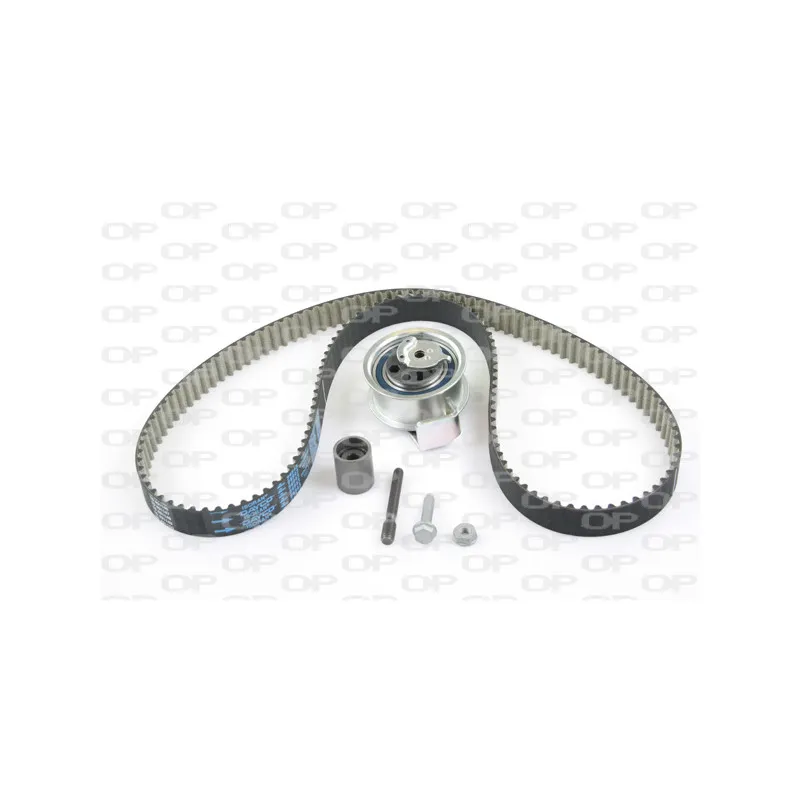 Kit de distribution OPEN PARTS TBK5042.11