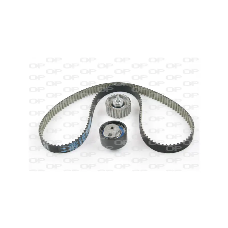Kit de distribution OPEN PARTS TBK5043.11