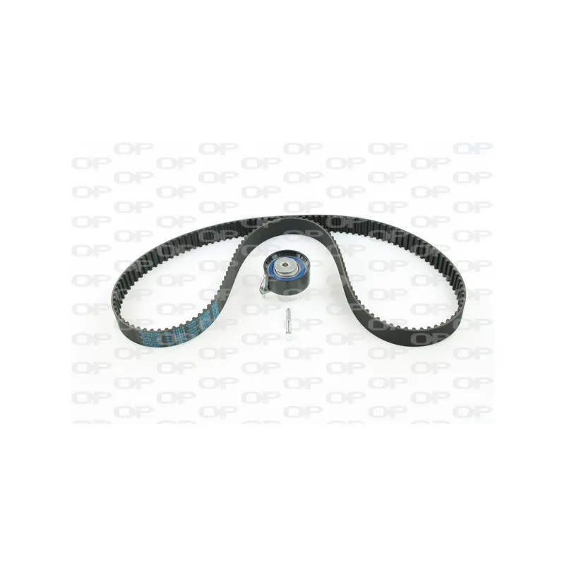 Kit de distribution OPEN PARTS TBK5044.01