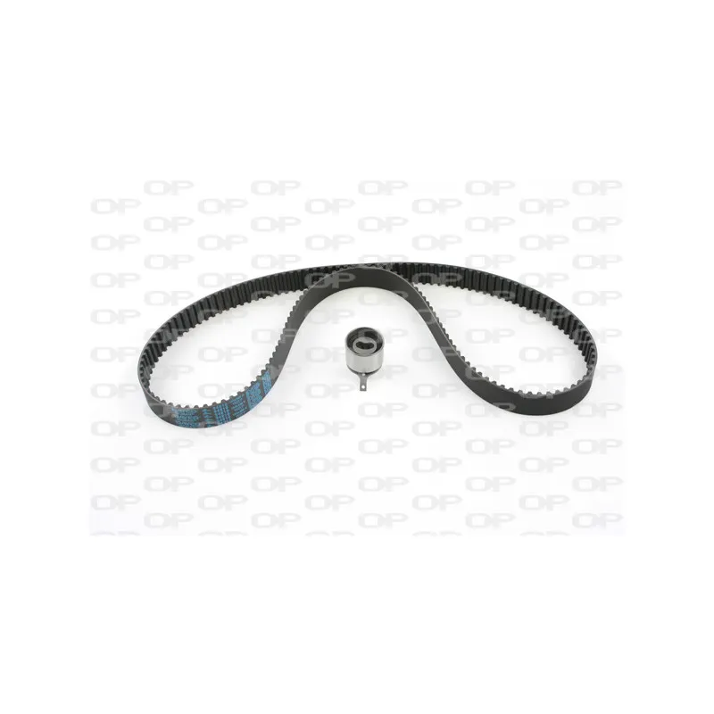 Kit de distribution OPEN PARTS TBK5045.01