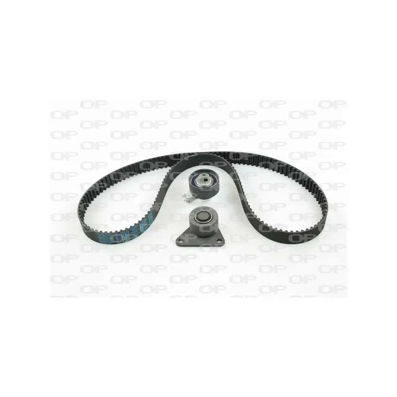 Kit de distribution OPEN PARTS TBK5049.01