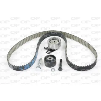 Kit de distribution OPEN PARTS TBK5053.11