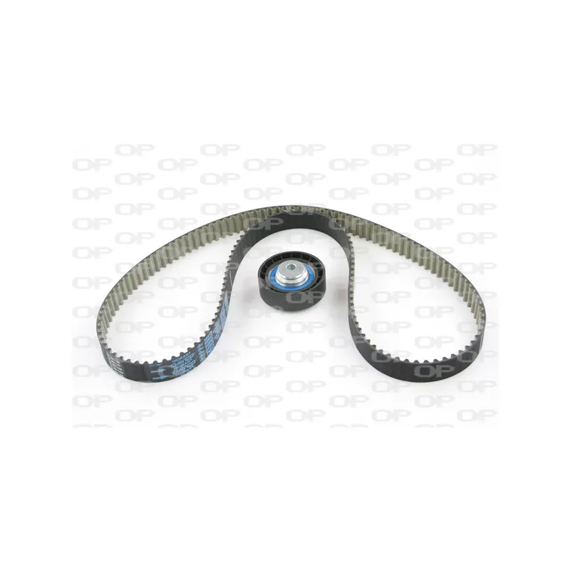 Kit de distribution OPEN PARTS TBK5054.11