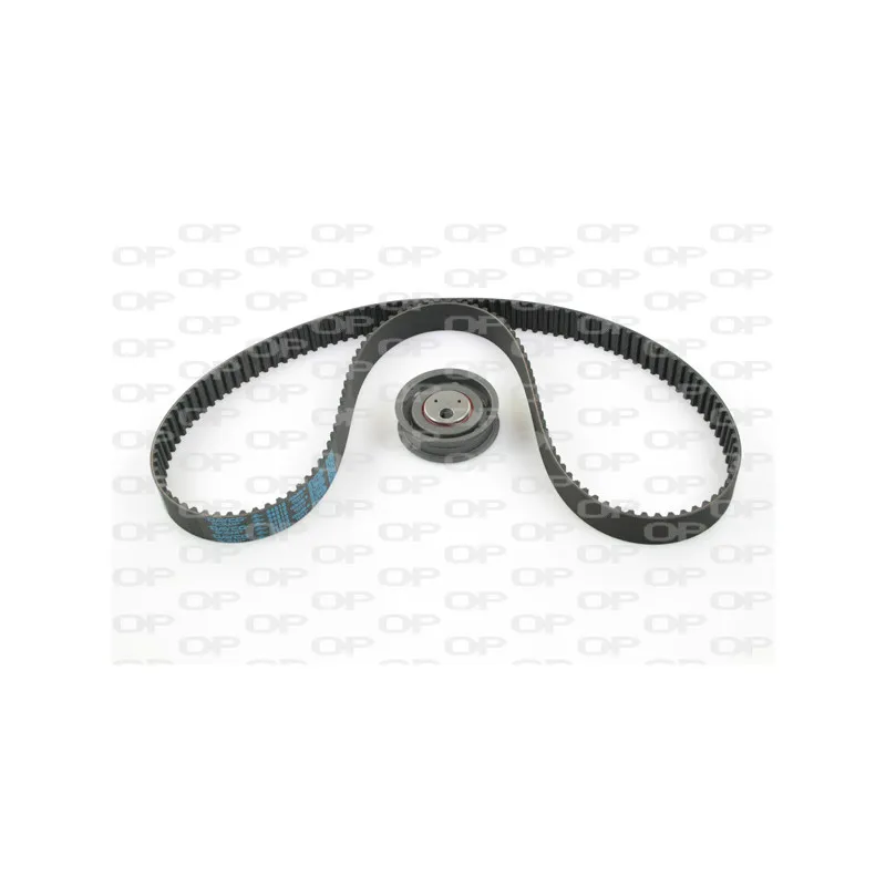 Kit de distribution OPEN PARTS TBK5056.00