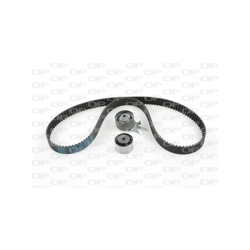 Kit de distribution OPEN PARTS TBK5059.01