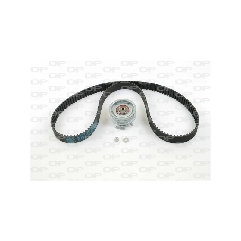 Kit de distribution OPEN PARTS TBK5060.01