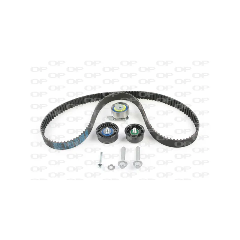 Kit de distribution OPEN PARTS TBK5065.01