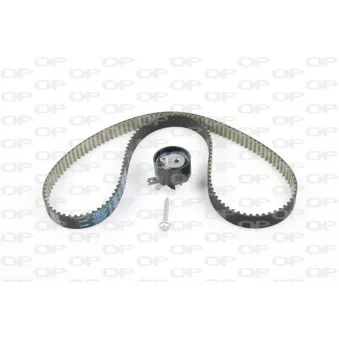 Kit de distribution OPEN PARTS TBK5066.11