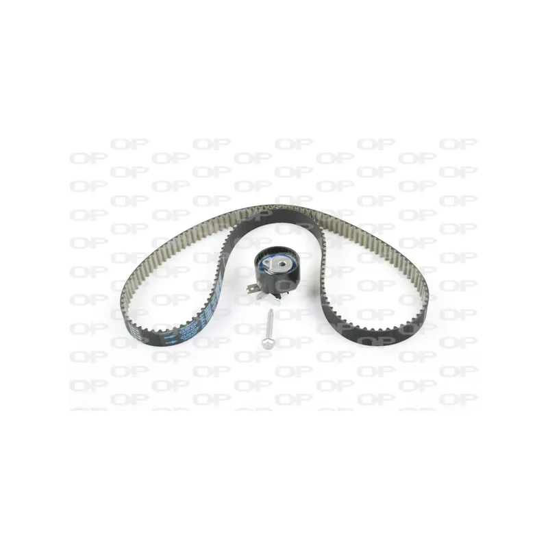 Kit de distribution OPEN PARTS TBK5066.11