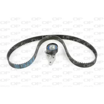 Kit de distribution OPEN PARTS TBK5071.01