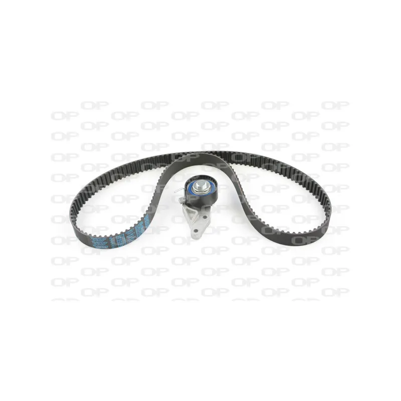Kit de distribution OPEN PARTS TBK5071.01