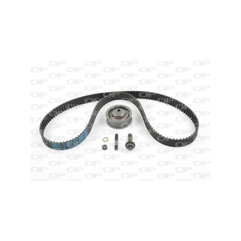 Kit de distribution OPEN PARTS TBK5072.00