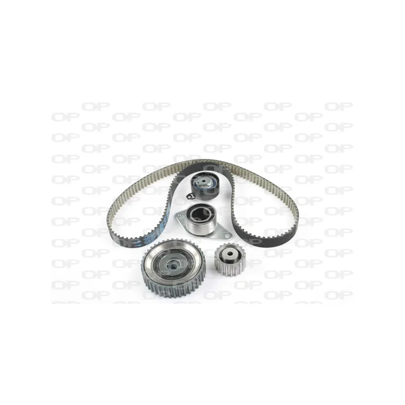Kit de distribution OPEN PARTS TBK5073.11