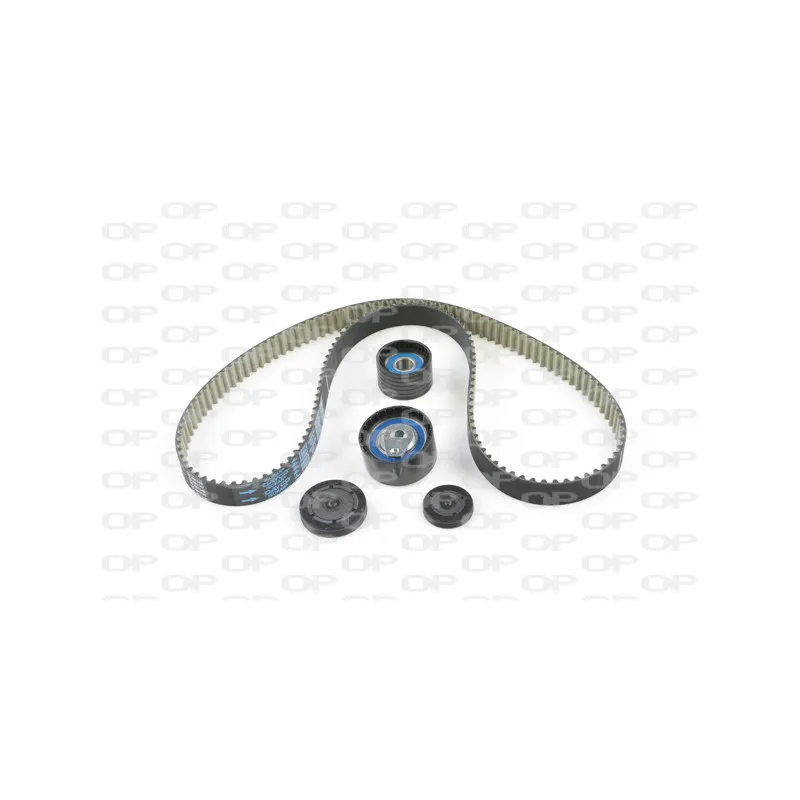 Kit de distribution OPEN PARTS TBK5074.11