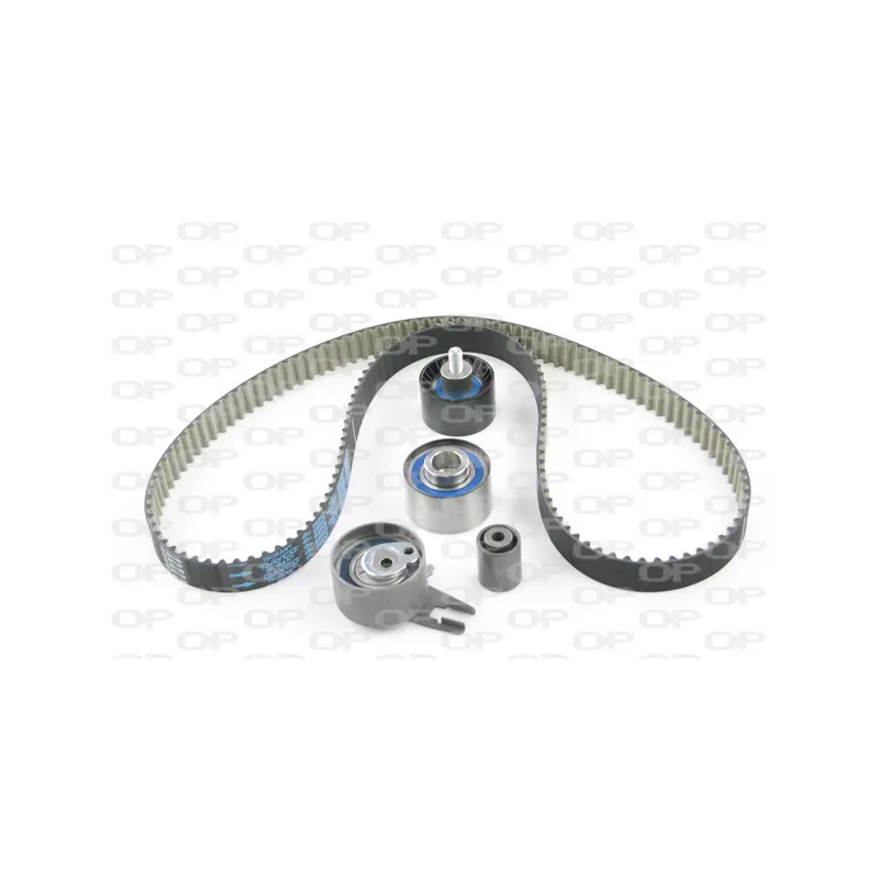Kit de distribution OPEN PARTS TBK5075.11