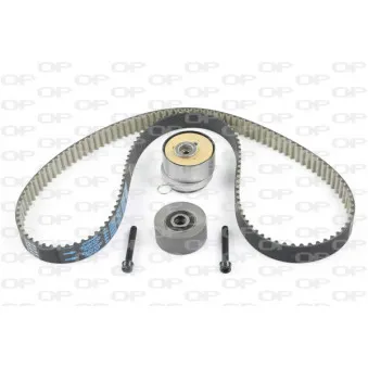 Kit de distribution OPEN PARTS TBK5076.11