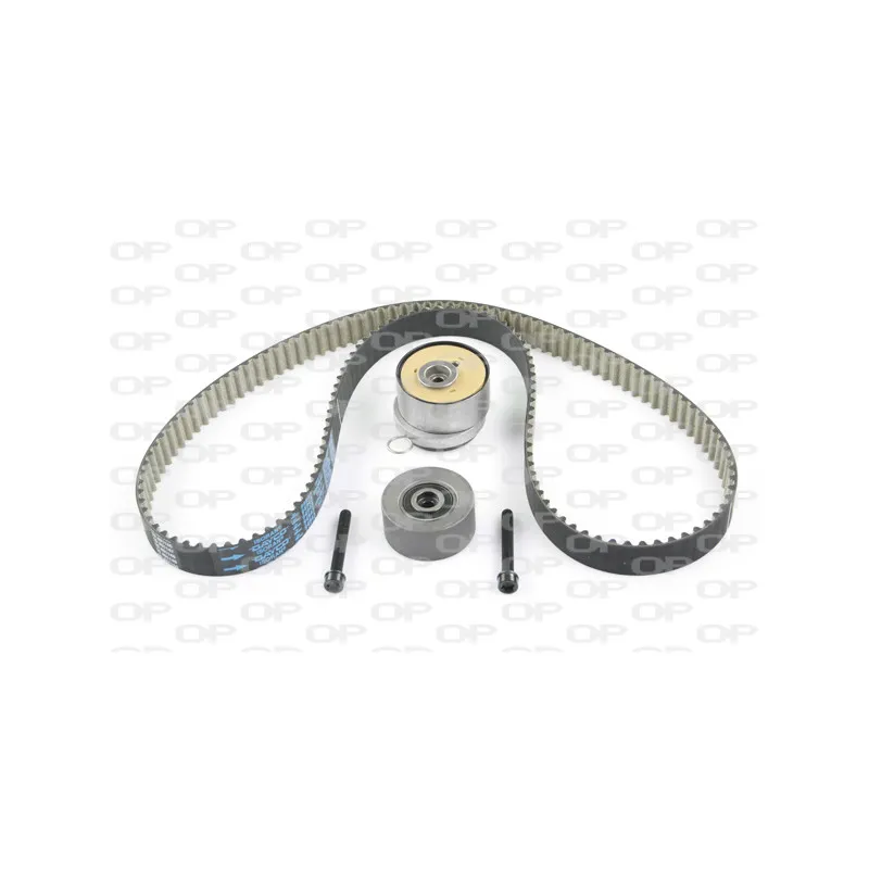Kit de distribution OPEN PARTS TBK5076.11