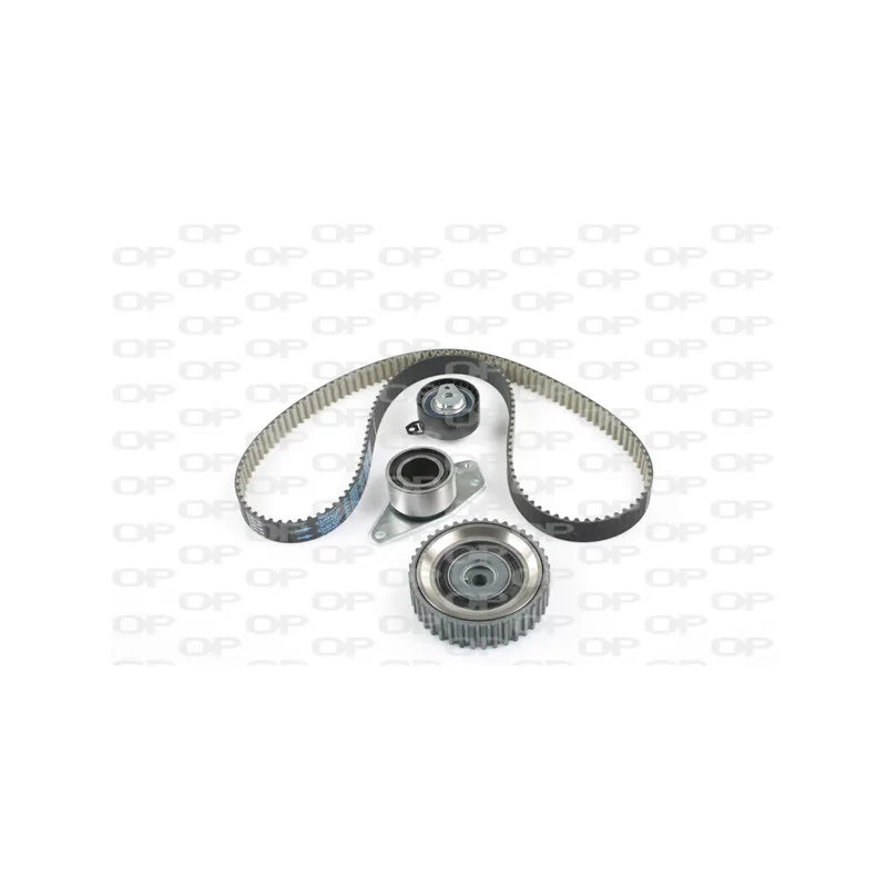 Kit de distribution OPEN PARTS TBK5077.11