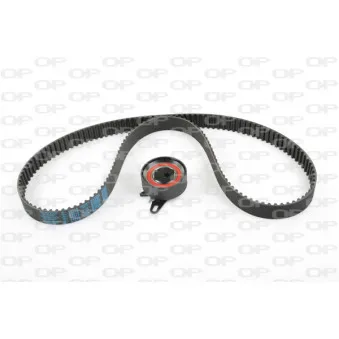 Kit de distribution OPEN PARTS TBK5079.01