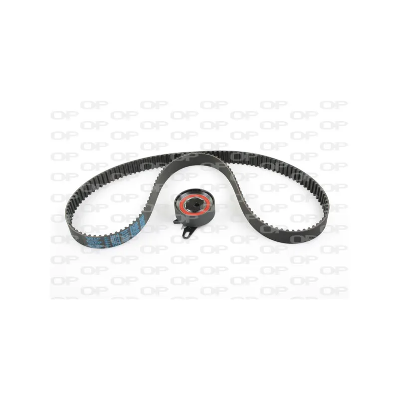 Kit de distribution OPEN PARTS TBK5079.01