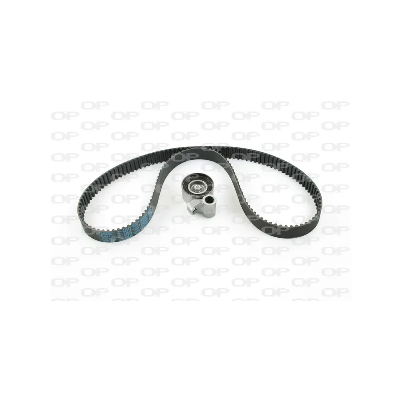Kit de distribution OPEN PARTS TBK5080.01