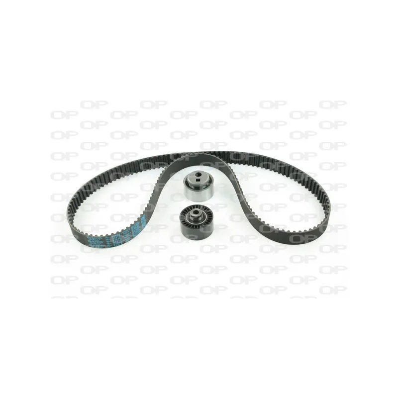 Kit de distribution OPEN PARTS TBK5083.01