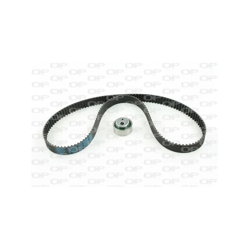 Kit de distribution OPEN PARTS TBK5084.01