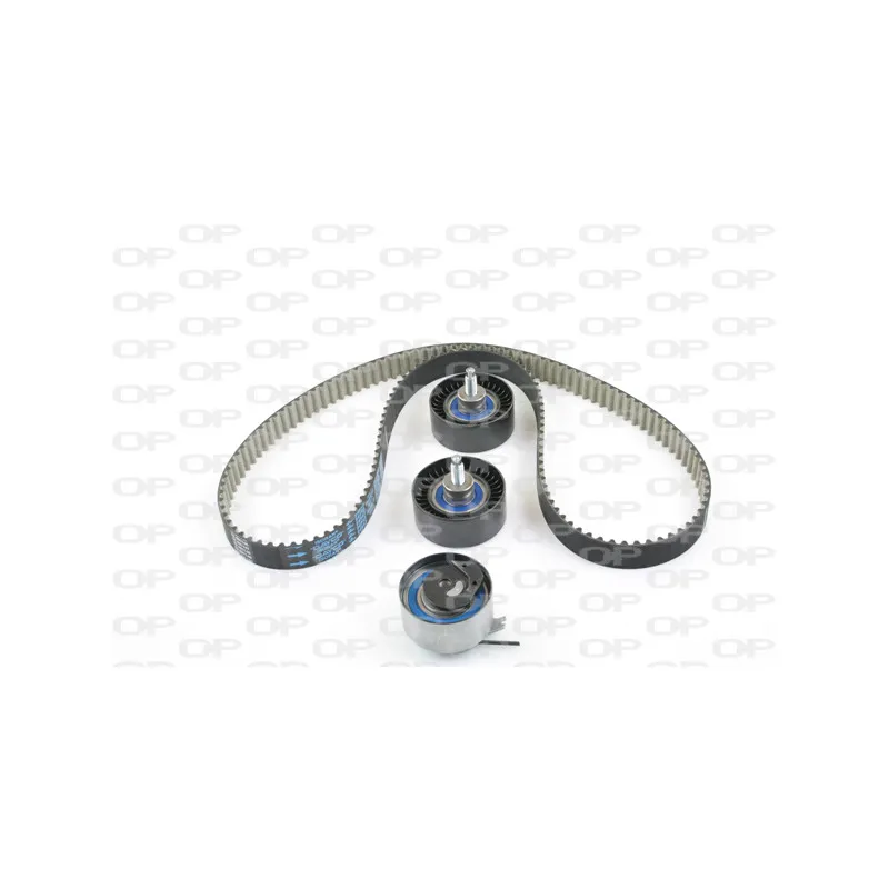 Kit de distribution OPEN PARTS TBK5085.11