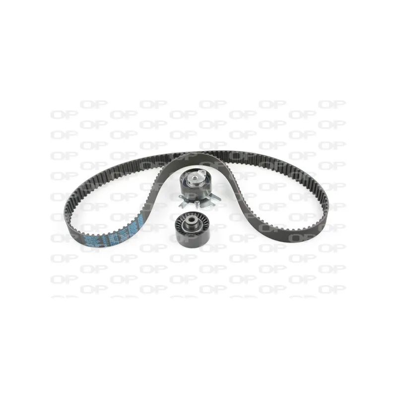 Kit de distribution OPEN PARTS TBK5088.01