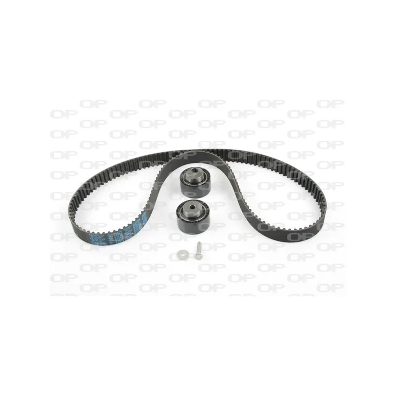 Kit de distribution OPEN PARTS TBK5089.01