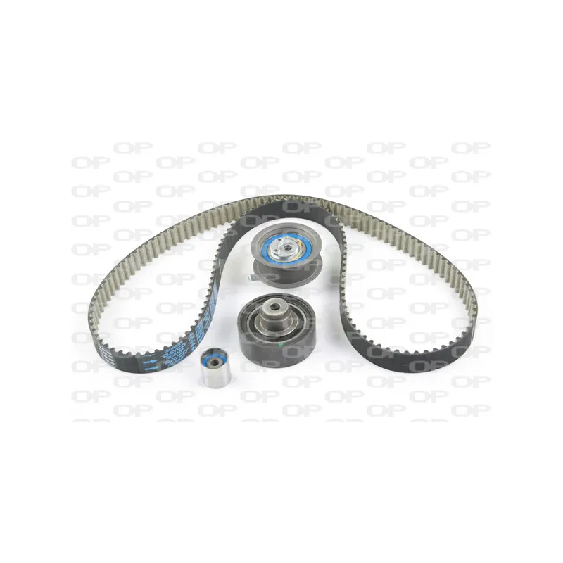 Kit de distribution OPEN PARTS TBK5091.11
