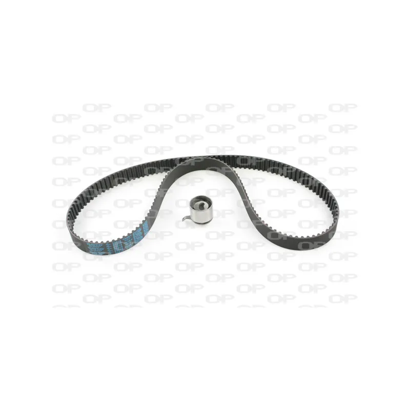 Kit de distribution OPEN PARTS TBK5092.01