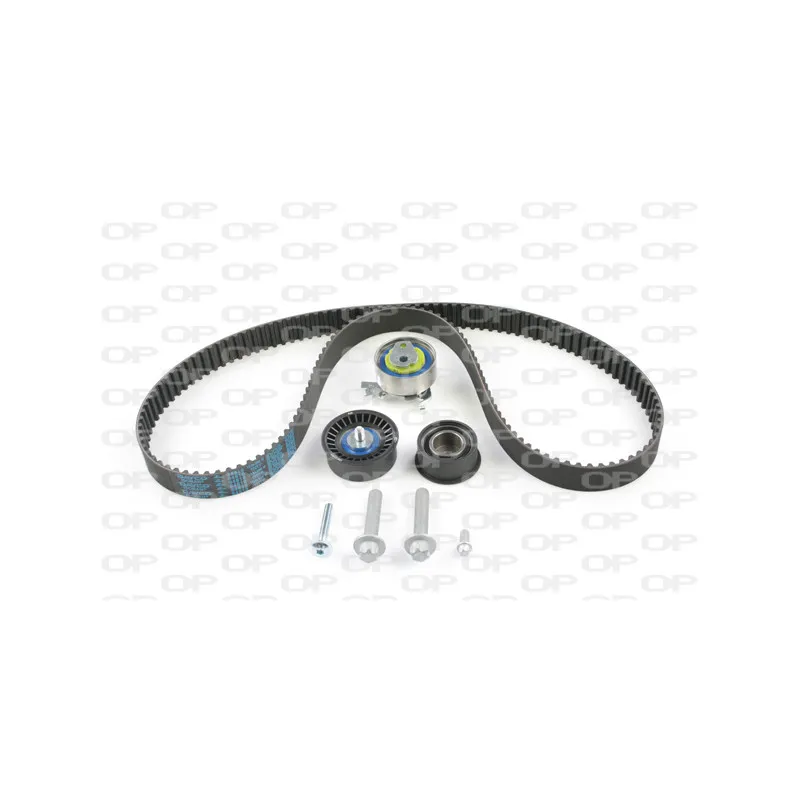 Kit de distribution OPEN PARTS TBK5094.01