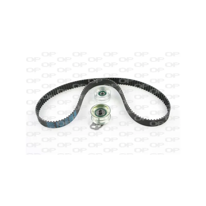 Kit de distribution OPEN PARTS TBK5096.01