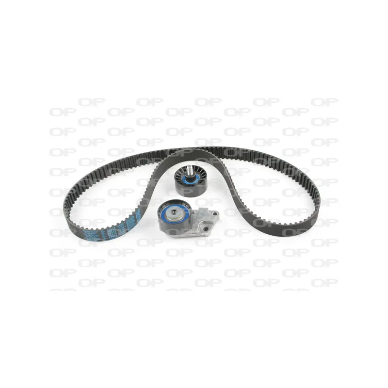 Kit de distribution OPEN PARTS TBK5099.01
