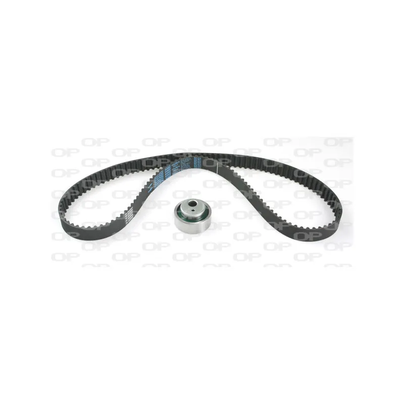 Kit de distribution OPEN PARTS TBK5103.01