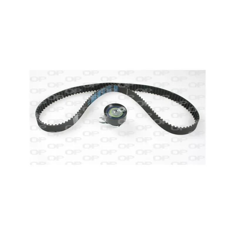 Kit de distribution OPEN PARTS TBK5113.01