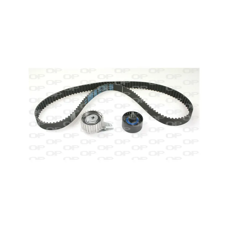 Kit de distribution OPEN PARTS TBK5119.01