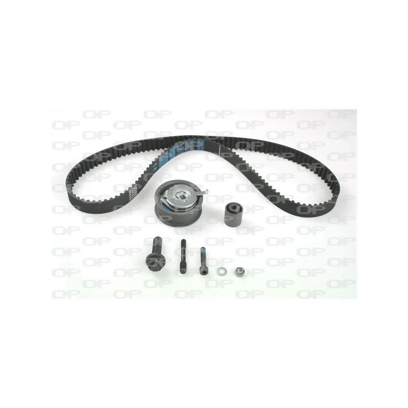 Kit de distribution OPEN PARTS TBK5120.11