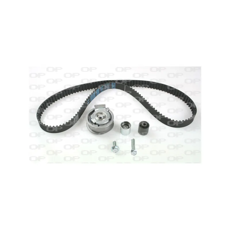 Kit de distribution OPEN PARTS TBK5124.11
