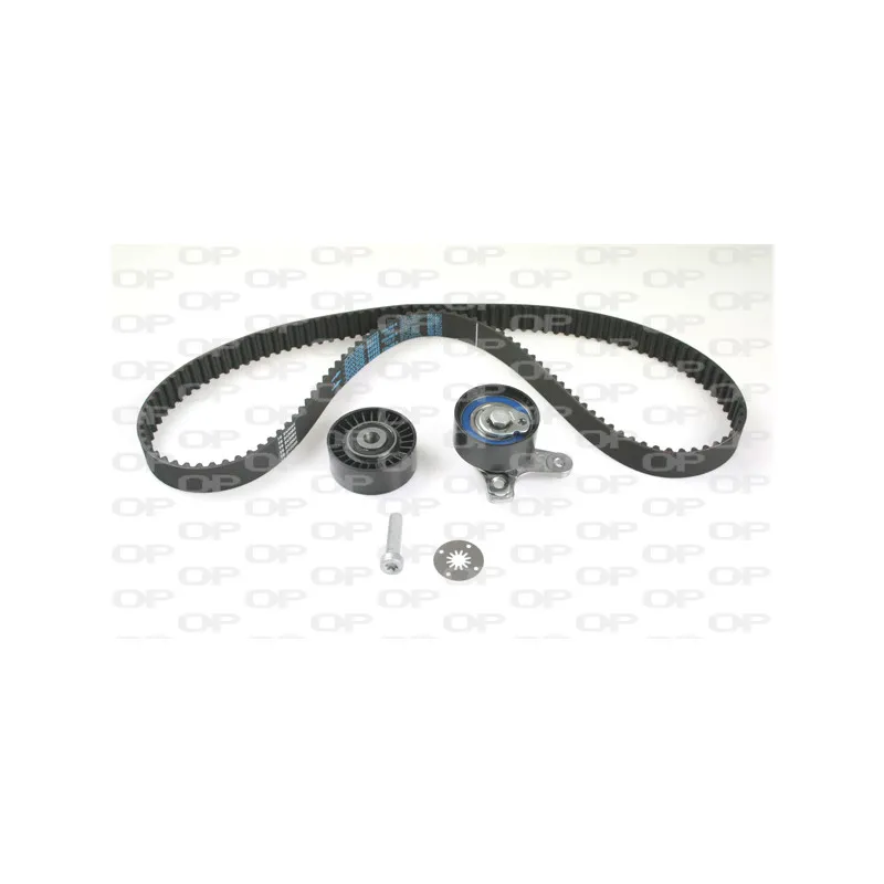 Kit de distribution OPEN PARTS TBK5128.11