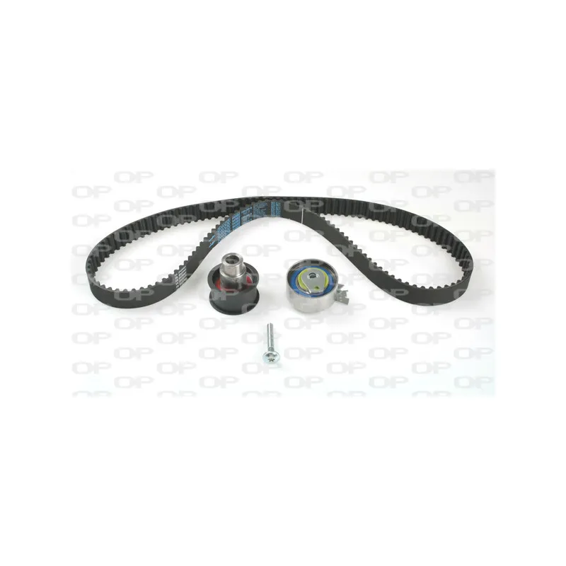 Kit de distribution OPEN PARTS TBK5132.01