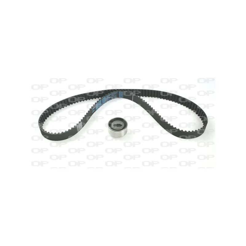 Kit de distribution OPEN PARTS TBK5133.01