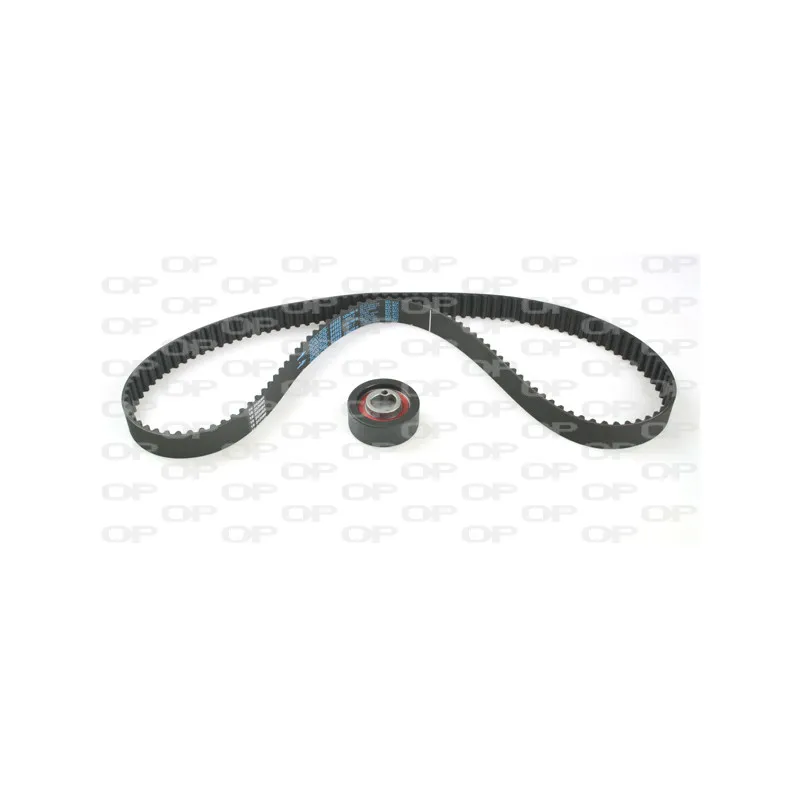 Kit de distribution OPEN PARTS TBK5134.00