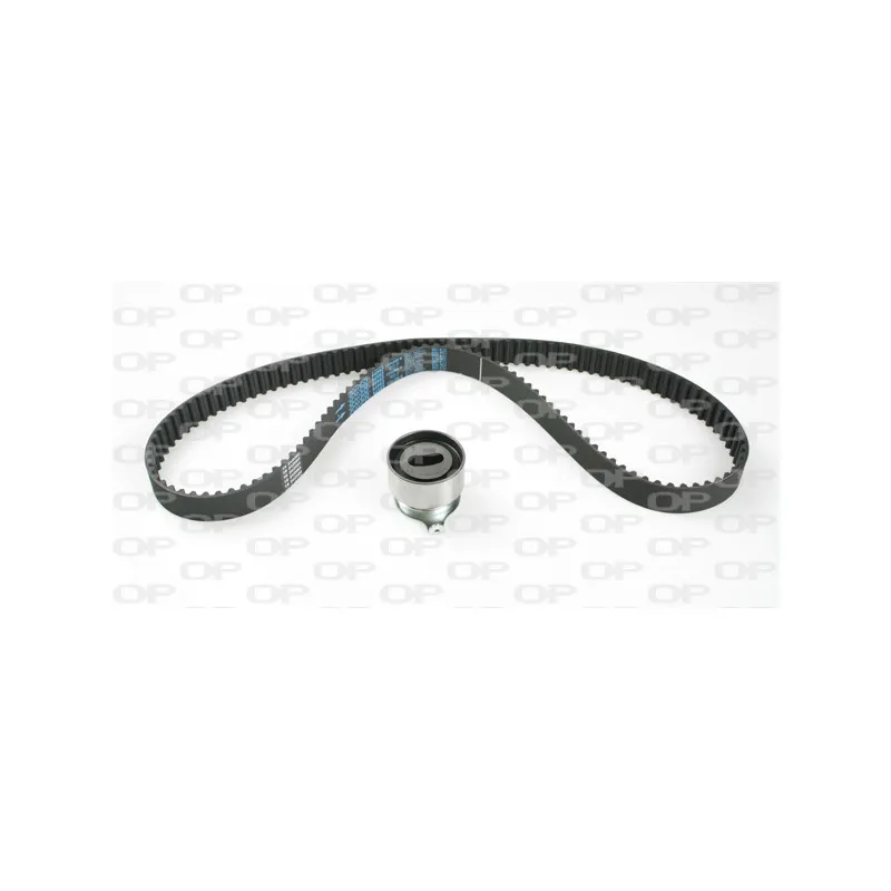 Kit de distribution OPEN PARTS TBK5148.01