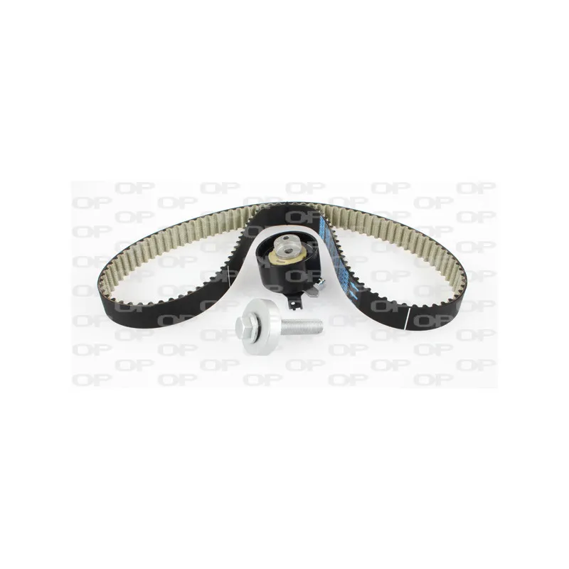 Kit de distribution OPEN PARTS TBK5151.11