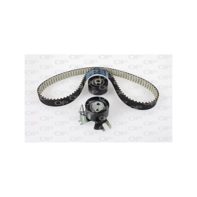 Kit de distribution OPEN PARTS TBK5155.11