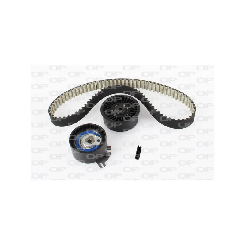 Kit de distribution OPEN PARTS TBK5156.11